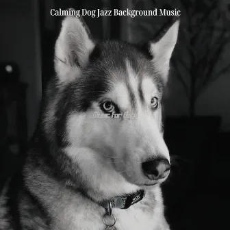 Music for Dogs by Calming Dog Jazz Background Music