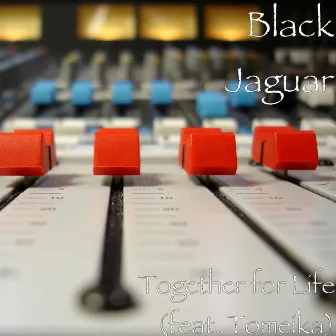 Together for Life (feat. Tomeika) by Black Jaguar