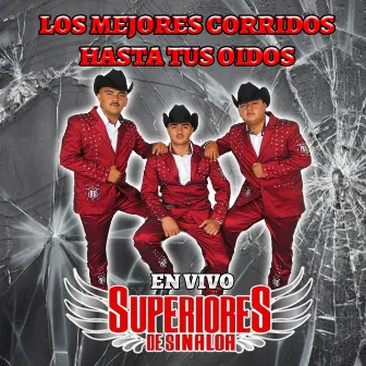 Los Mejores Corridos Hasta Tus Oidos by Superiores De Sinaloa