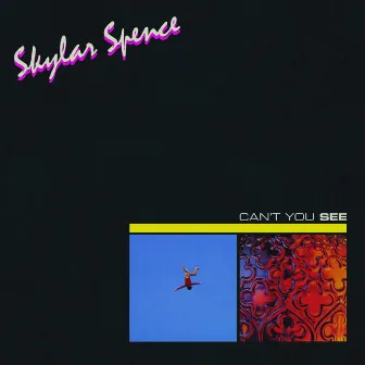 Can't You See by Skylar Spence