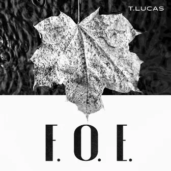 F.O.E by T.Lucas