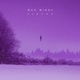 Wax Wings by Subcon