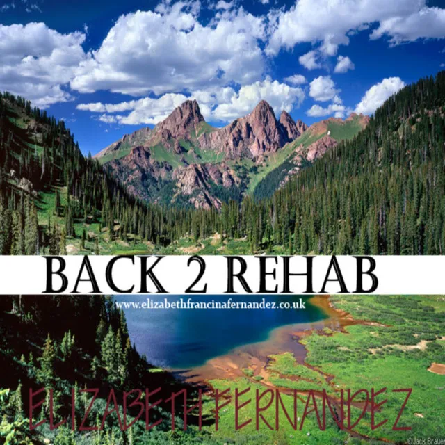 Back 2 Rehab (Remix) - 2