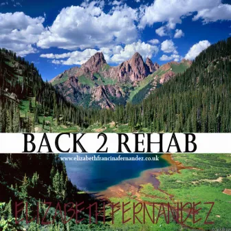 Back 2 Rehab by Elizabeth Fernandez