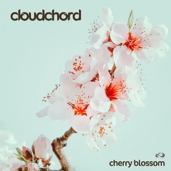 Cherry Blossom by Cloudchord