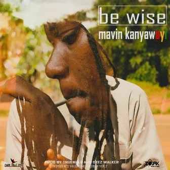 Be Wise by Mavin Kanyawayi