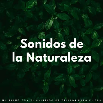 Sonidos De La Naturaleza: Un Piano Con El Chirrido De Grillos Para El Spa by Reino de Música de Spa