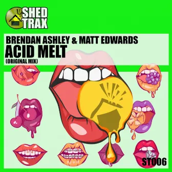 Acid Melt by Brendan Ashley