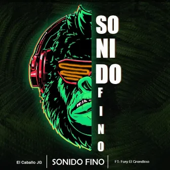 Sonido Fino by Elcaballojg