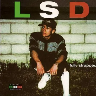 Fully Strapped by L.S.D