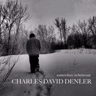 Somewhere in Between by Charles David Denler