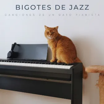 Bigotes De Jazz: Canciones De Un Gato Pianista by Radio jazz suave