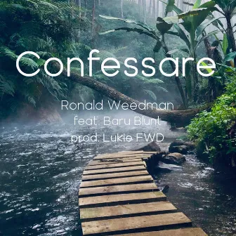 Confessare by Ronald Weedman