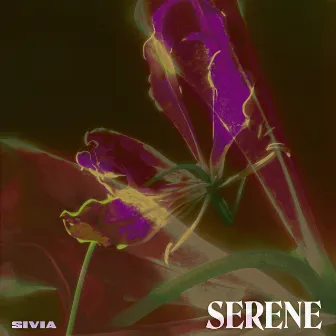 Serene by SIVIA