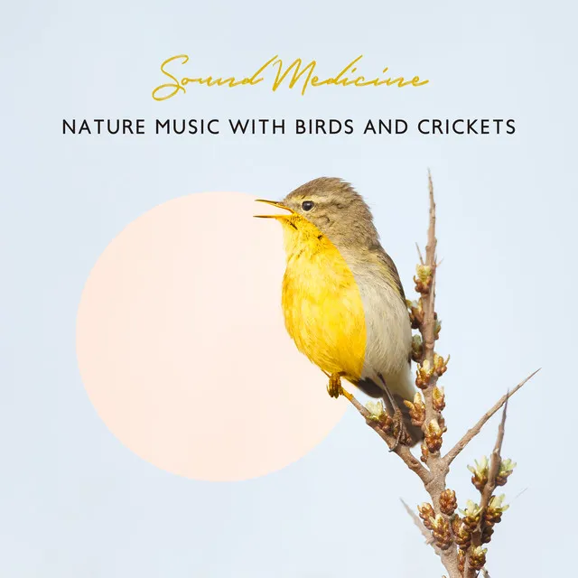 Sound Medicine: Nature Music with Birds and Crickets