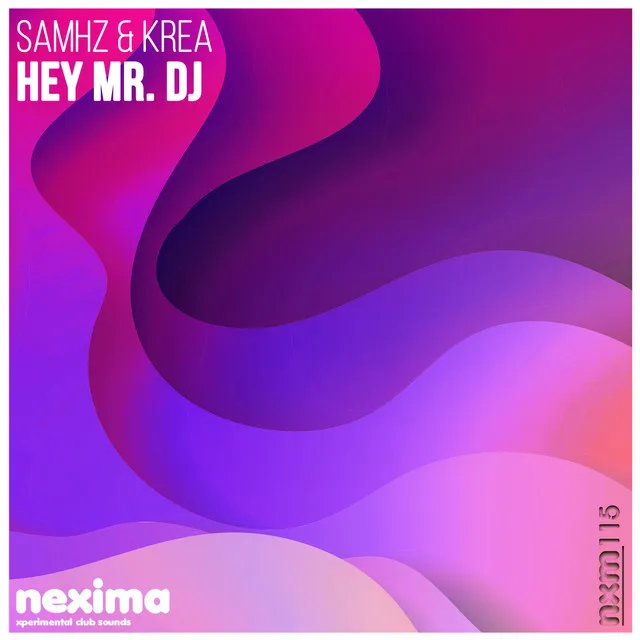 Hey Mr. DJ - Original Mix