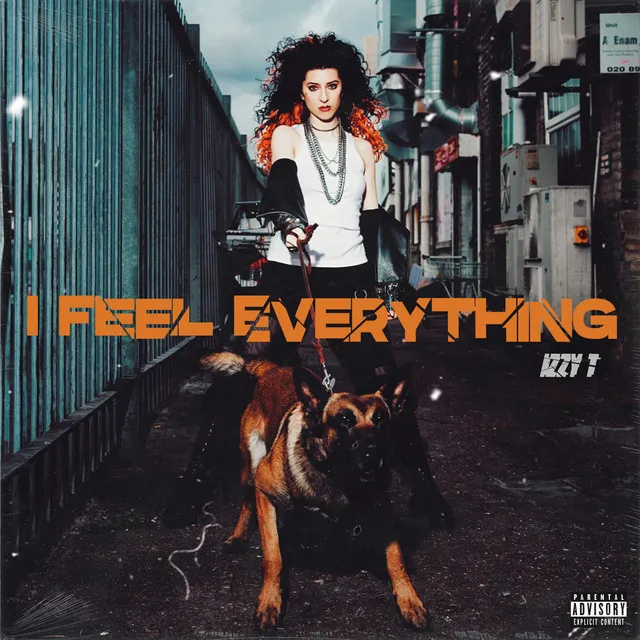 I Feel Everything