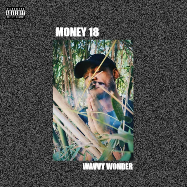 Money18