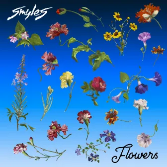 Flowers by SMYLES