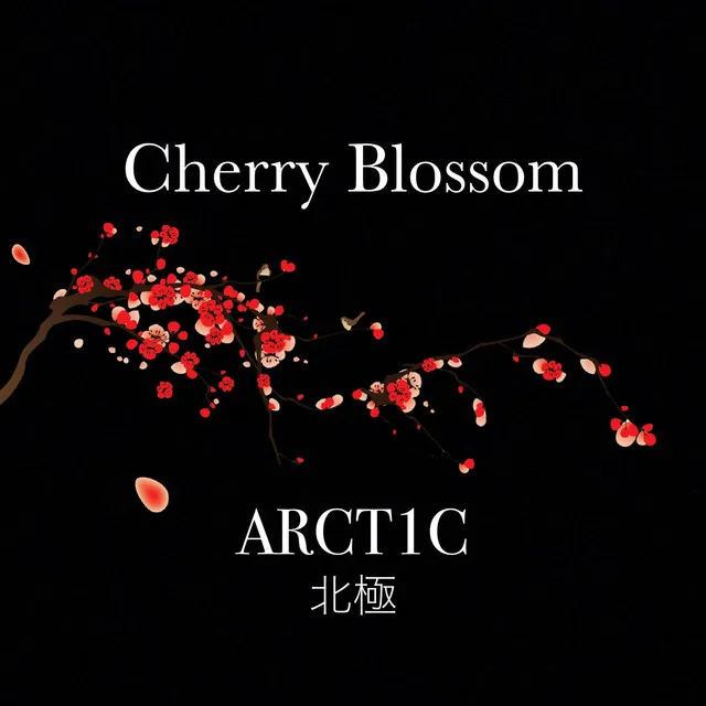 Cherry Blossom