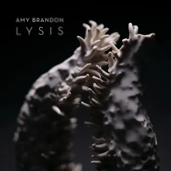 Lysis by Amy Brandon