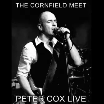 Live at the Cornfield Meet - Peter Cox Live by Peter Cox