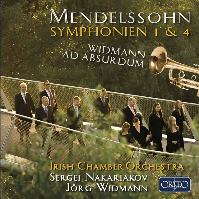 Symphony No. 1 in C Minor, Op. 11, MWV N 13: I. Allegro di molto