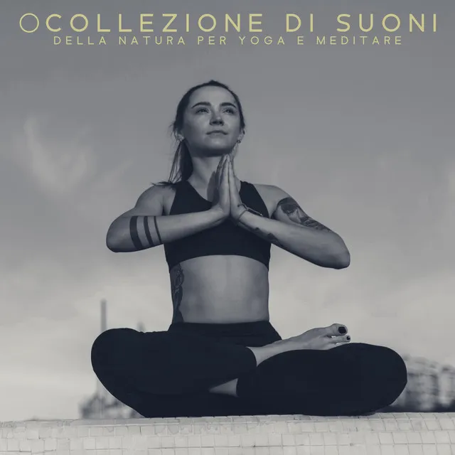 Collezione di Suoni della Natura per Yoga e Meditare