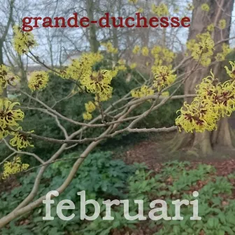 Februari by Grande-Duchesse