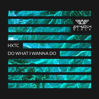 Do What I Wanna Do by HXTC