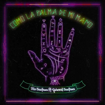 Como La Palma De Mi Mano by Unknown Artist