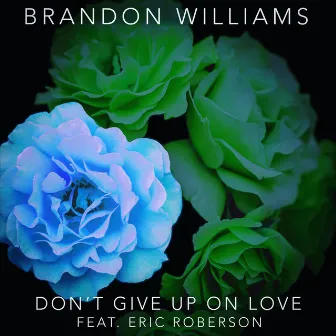 Don't Give Up On Love by Brandon Williams