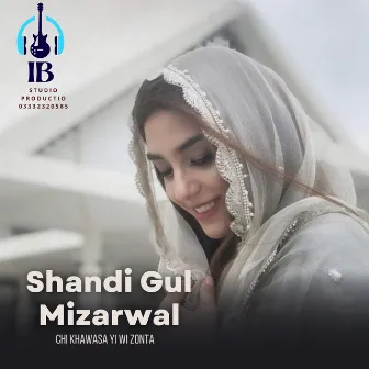 Chi Khawasa Yi Wi Zonta by Shandi Gul Mizarwal