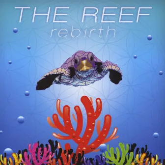 Rebirth by The Reef