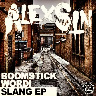 Slang EP by Alex Sin