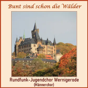 Bunt sind schon die Wälder by Rundfunk-Jugendchor Wernigerode (Männerchor)