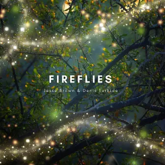 Fireflies by Denis Turbide