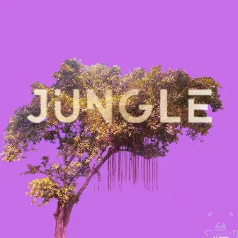 The Jungle by Teddy Byrd