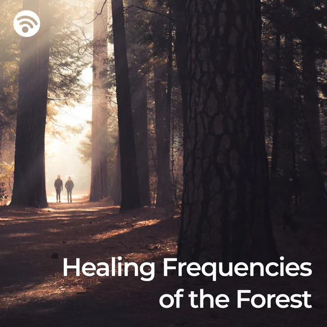 Healing Frequencies of the Forest