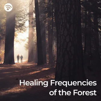 Healing Frequencies of the Forest by Delle Alpi