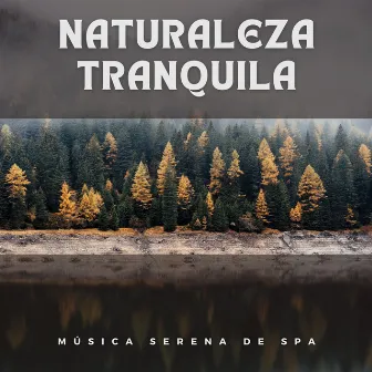 Naturaleza Tranquila: Música Serena de Spa by Increíble experiencia de spa