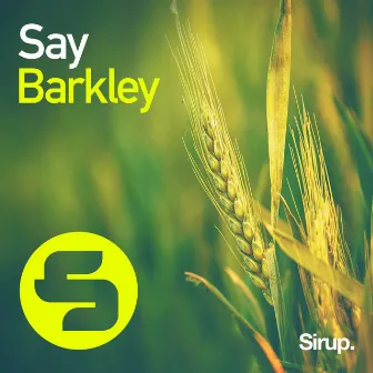 Say by Barkley