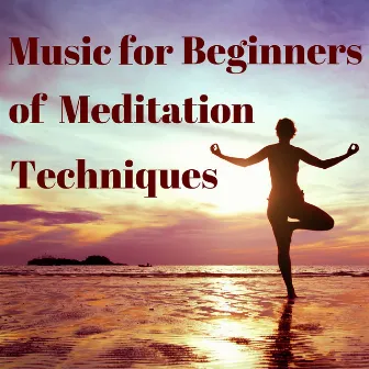 Music for Beginners of Meditation Techniques by Underwater Sounds Specialists