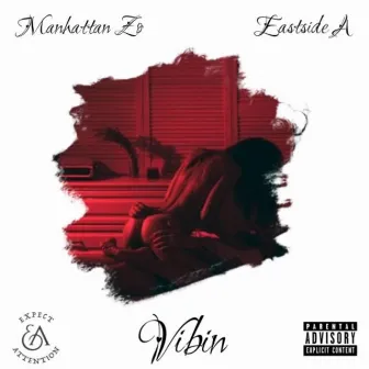 VIBIN (Radio Edit) by Manhattan ZO