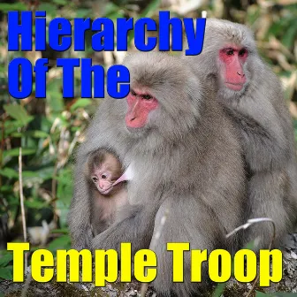 Hierarchy Of The Temple Troop by Durante