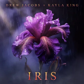 Iris by KAYLA KING