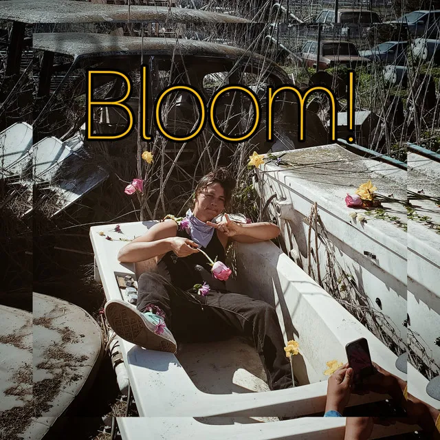 Bloom