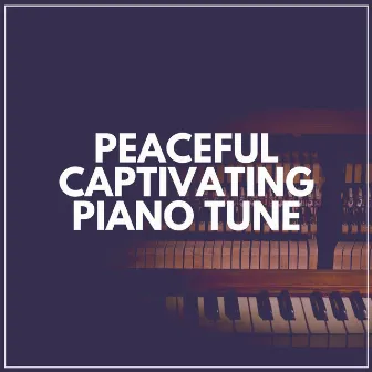 Peaceful Captivating Piano Tune by Piano Sleep