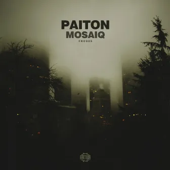 Mosaiq by Paiton