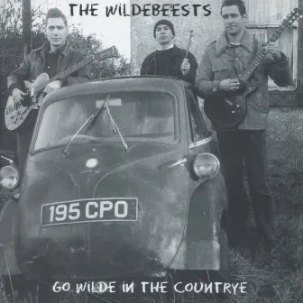 Go Wilde in the Countrye by The Wildebeests